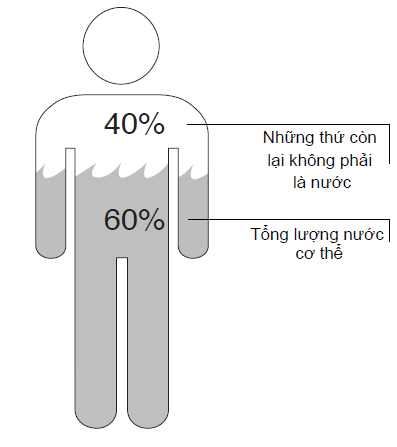 Dịch điện giải và toan kiềm Dịch điện giải và toan kiềm