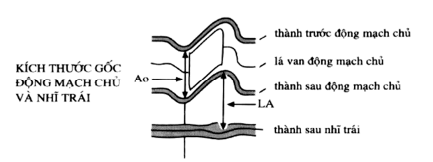 Kỹ thuật siêu âm tim