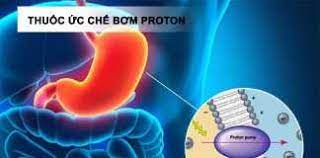 Ppi không có lợi gì trong điều trị xuất huyết tiêu hóa Ppi không có lợi gì trong điều trị xuất huyết tiêu hóa