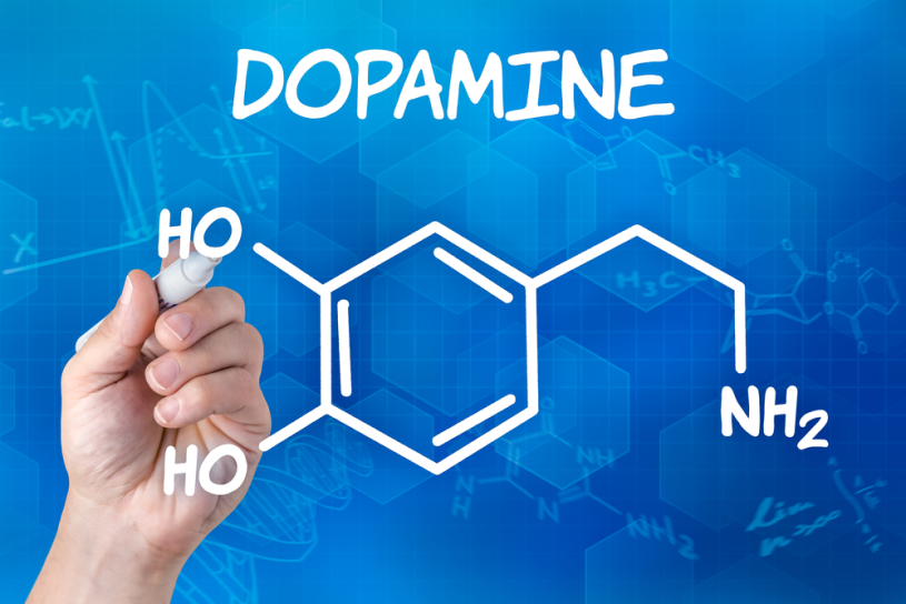Đừng dùng “liều thận” của dopamine Đừng dùng “liều thận” của dopamine