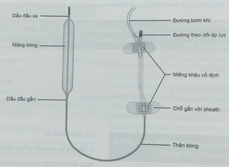 IABP Bóng đối xung động mạch chủ là gì?