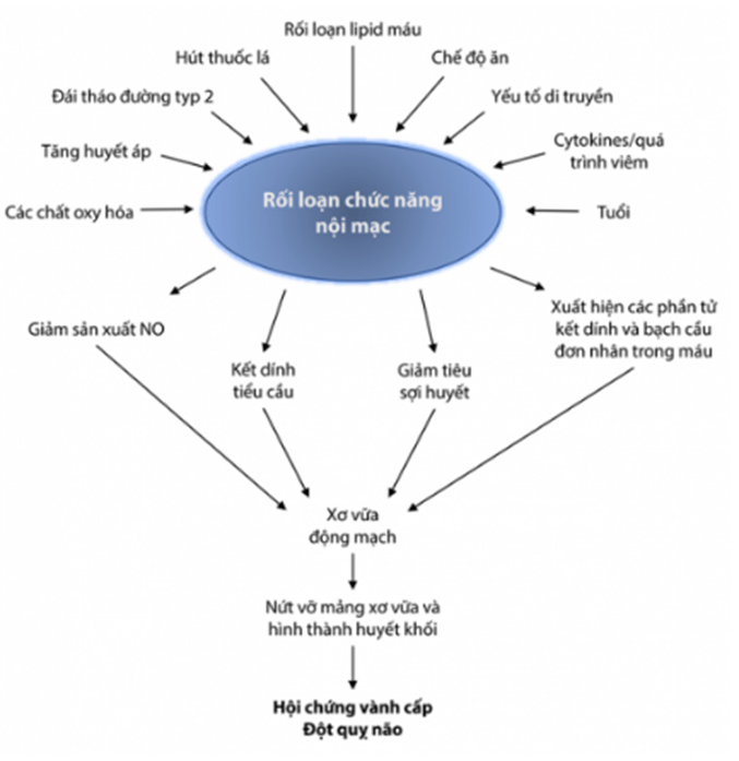 Thuốc  điều trị rối loạn lipid máu