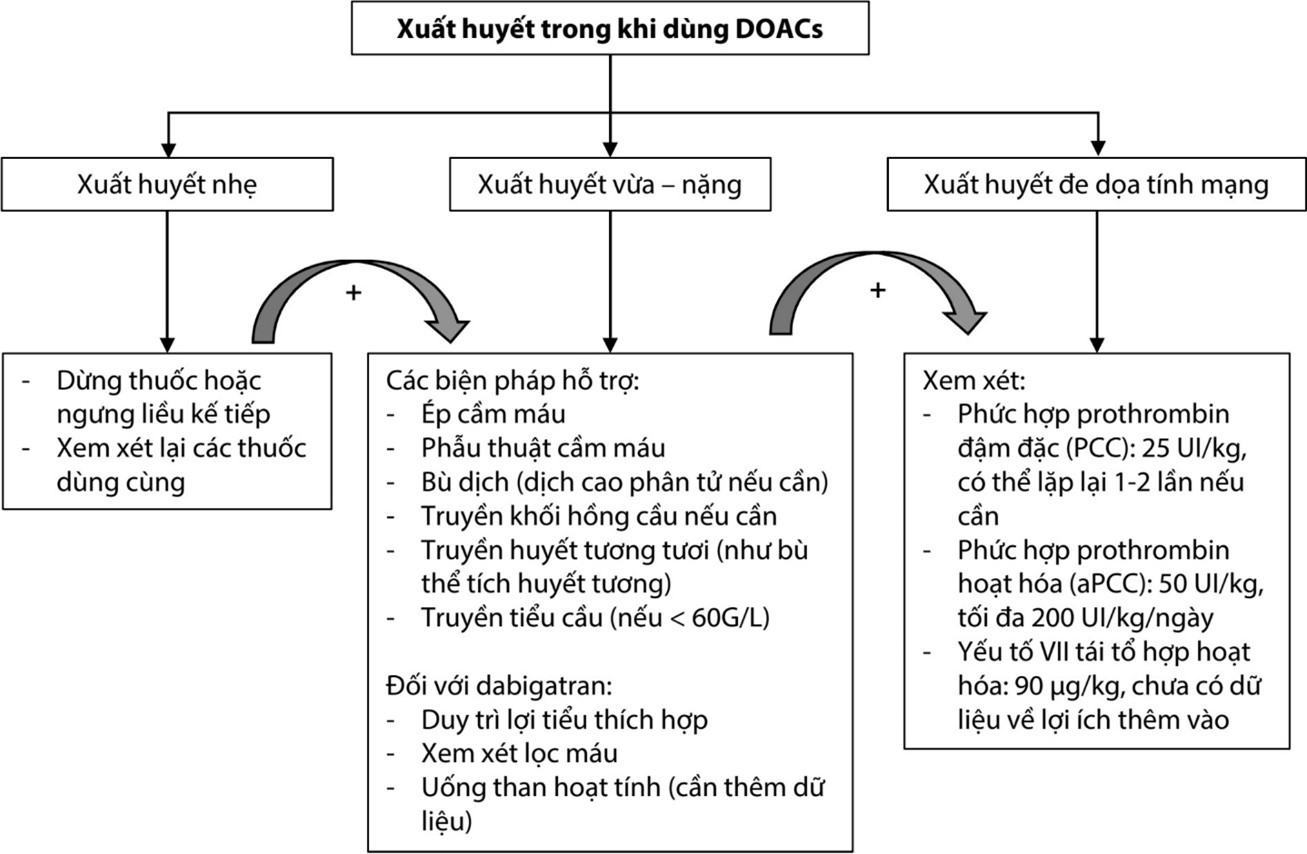 Xuất huyết do thuốc chống đông trực tiếp đường uống (DOAC) phải làm gì? Xuất huyết do thuốc chống đông trực tiếp đường uống (DOAC) phải làm gì?