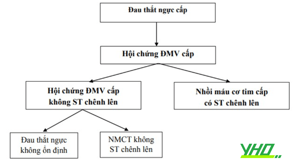 Can thiệp trong hội chứng vành cấp Can thiệp trong hội chứng vành cấp