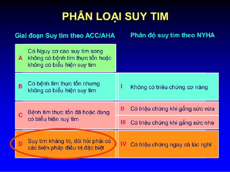 Suy tim cấp và sốc tim