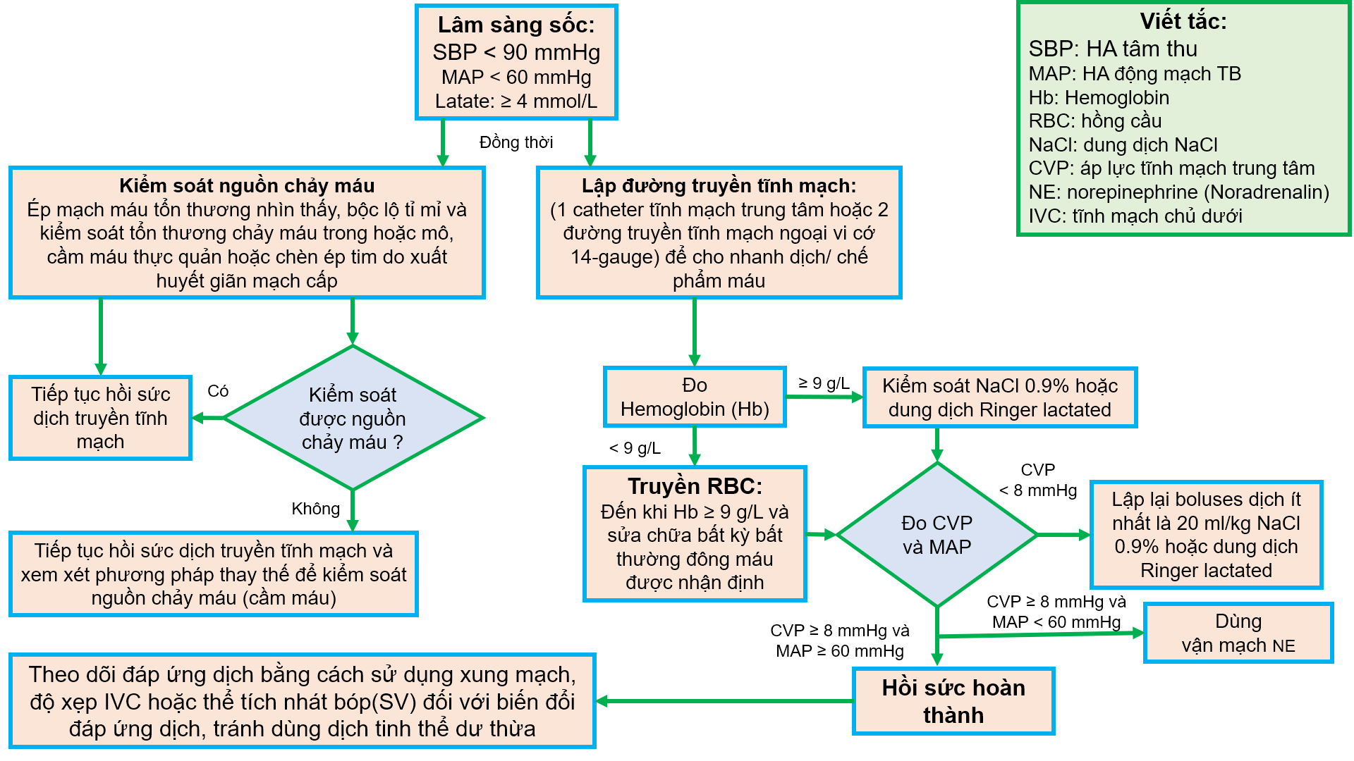 Minh họa các giai đoạn của sốc giảm thể tích và các biện pháp điều trị tương ứng