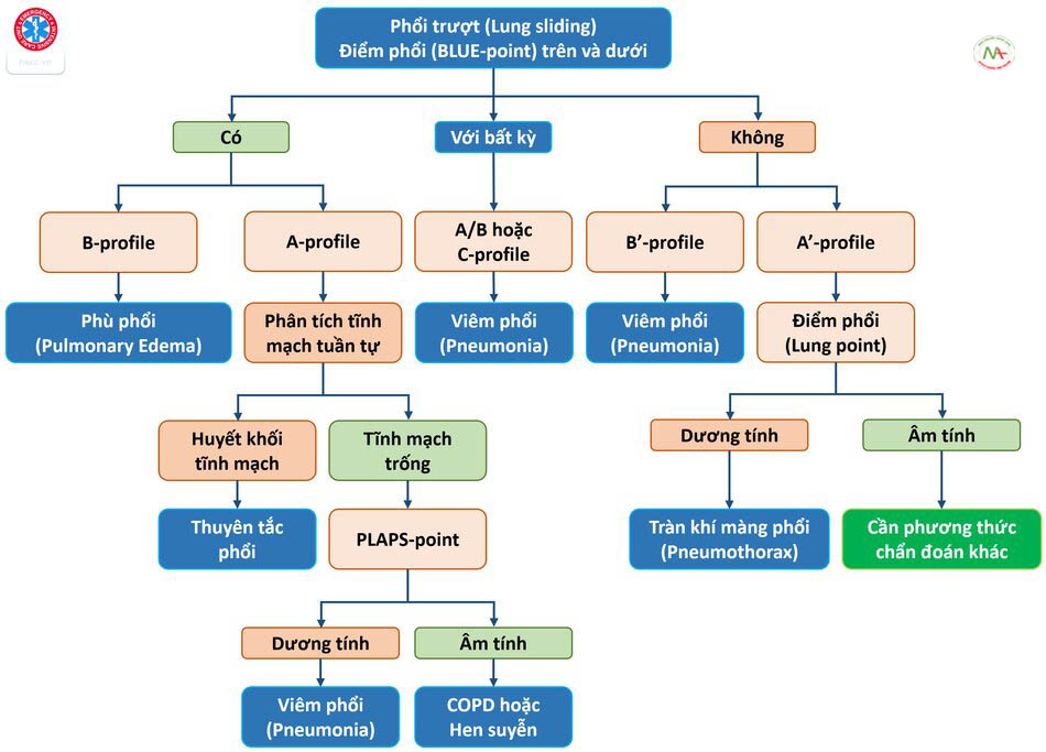 Sơ đồ BLUE Protocol giúp chẩn đoán nhanh chóng nguyên nhân suy hô hấp