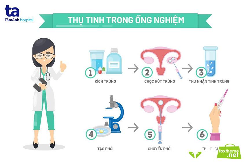 Sơ đồ quy trình thụ tinh trong ống nghiệm IVF